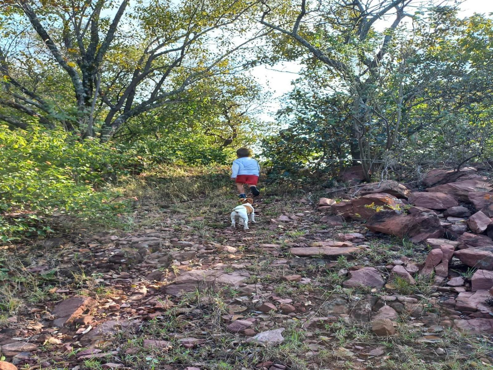 Lethabo Lodge Modimolle Eksteriør billede