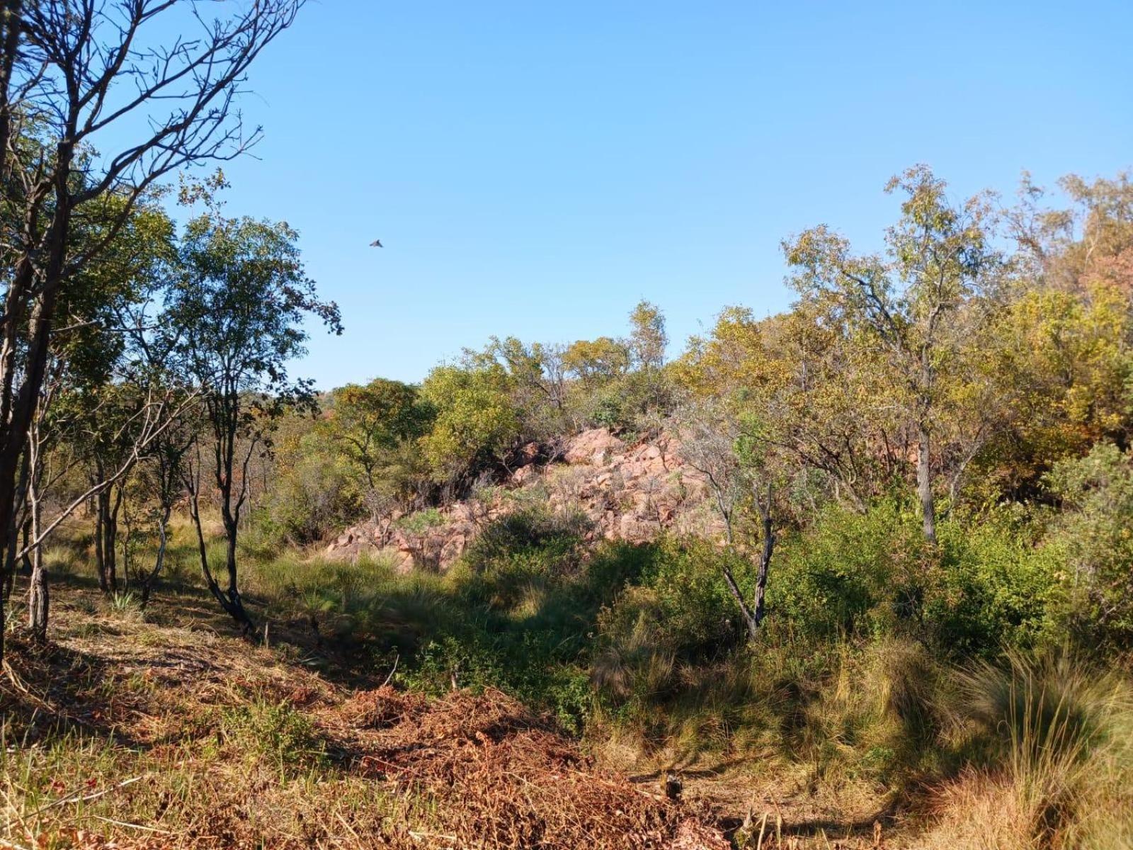 Lethabo Lodge Modimolle Værelse billede